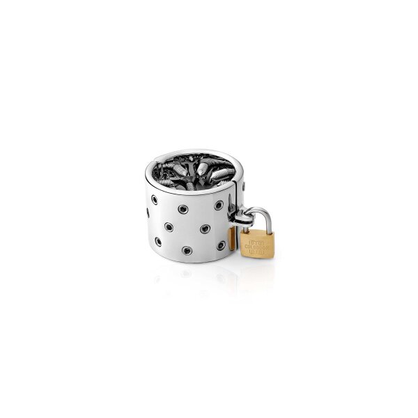 Aufregendes Hodengewicht Edelstahl mit Spikes | Mens-Shop24