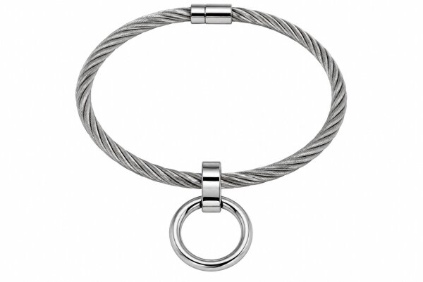 Edelstahl-Halsband mit abnehmbarem O-Ring Innen Ø 110 mm