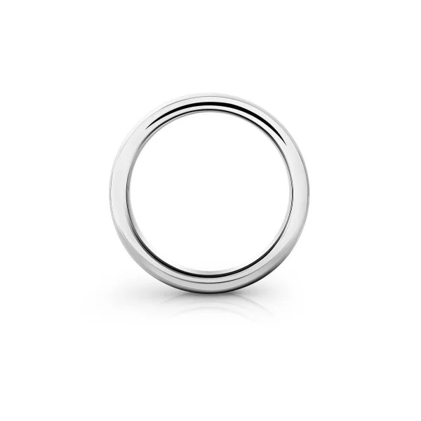 Solid cockring made of brushed stainless steel, Ø...