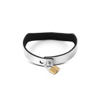 BDSM Halsband aus gebürstetem Edelstahl, mit O-Ring